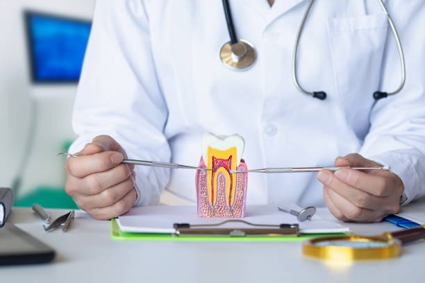 Best Emergency Dental Care for Broken or Chipped Teeth in Carbon Hill, AL